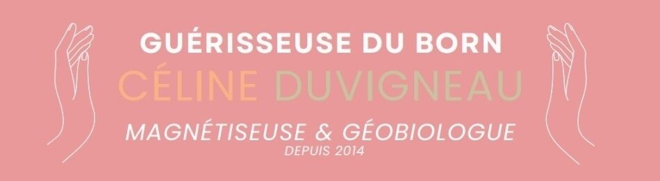 Logo magnetiseuse et geobiologue